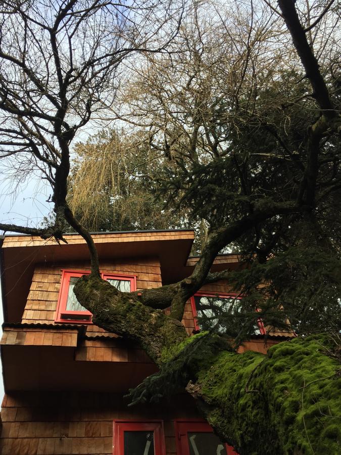 Almabosque Cabanas Puerto Varas Dış mekan fotoğraf