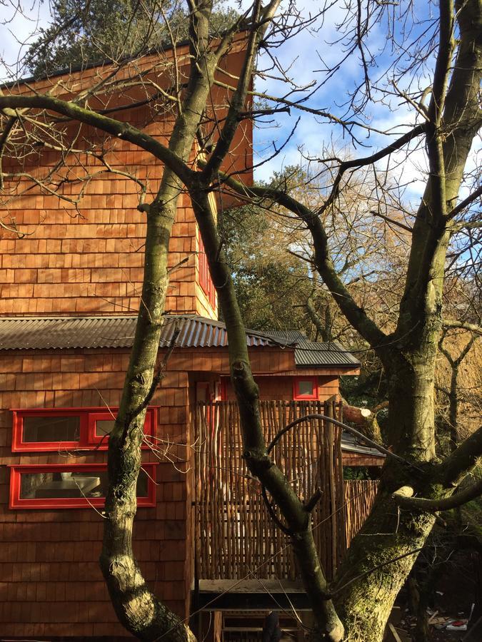 Almabosque Cabanas Puerto Varas Dış mekan fotoğraf