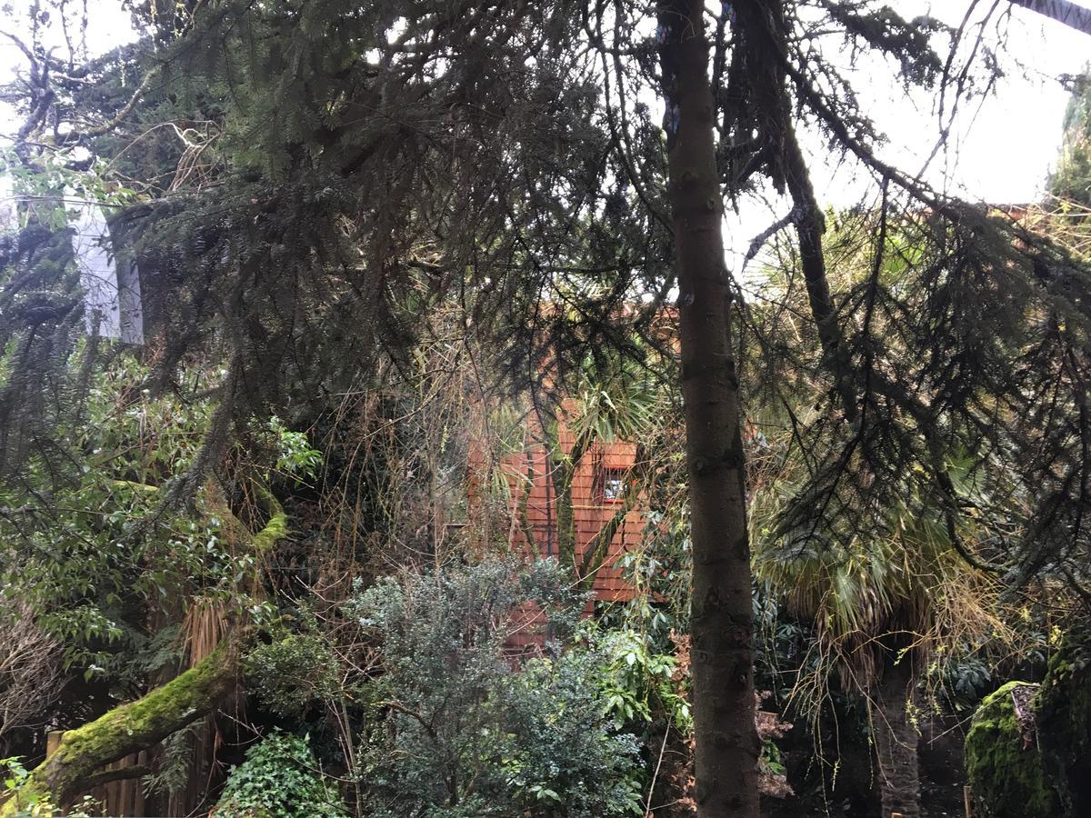 Almabosque Cabanas Puerto Varas Dış mekan fotoğraf