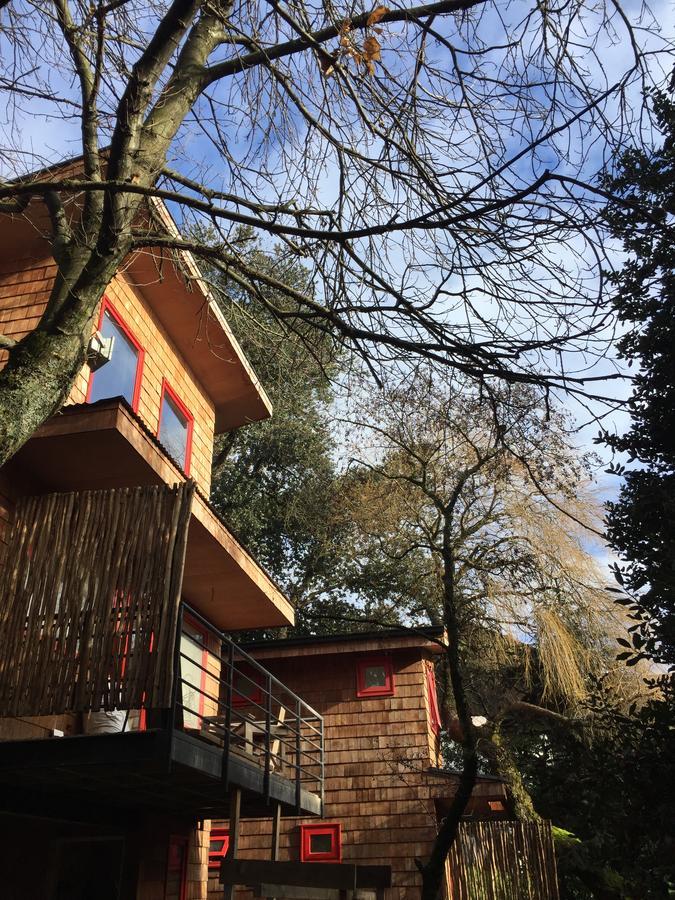 Almabosque Cabanas Puerto Varas Dış mekan fotoğraf