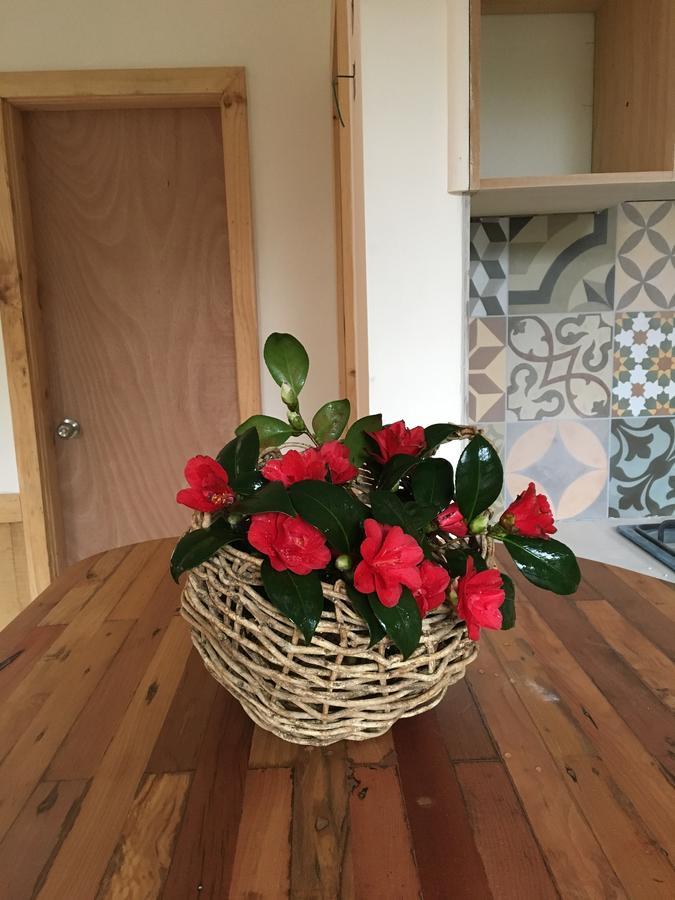 Almabosque Cabanas Puerto Varas Dış mekan fotoğraf