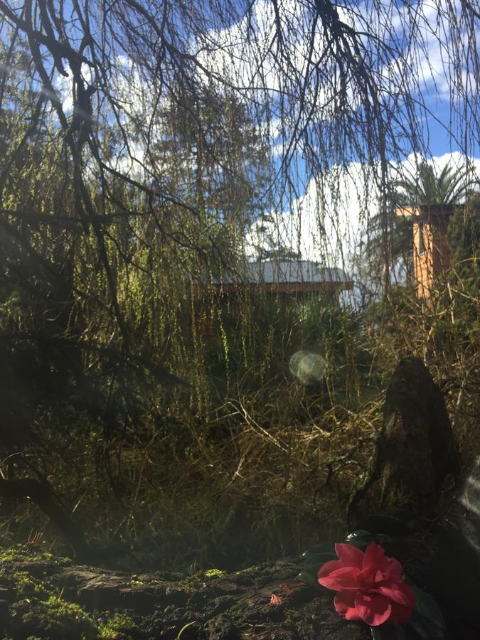 Almabosque Cabanas Puerto Varas Dış mekan fotoğraf
